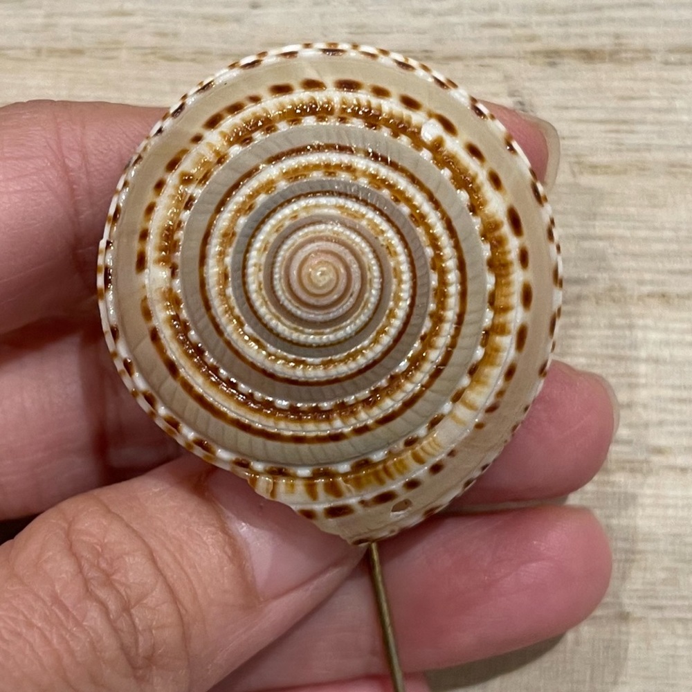 Vintage Miriam Haskell Gold Tone Snail Shell Stickpin